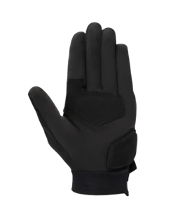 Gants Stated