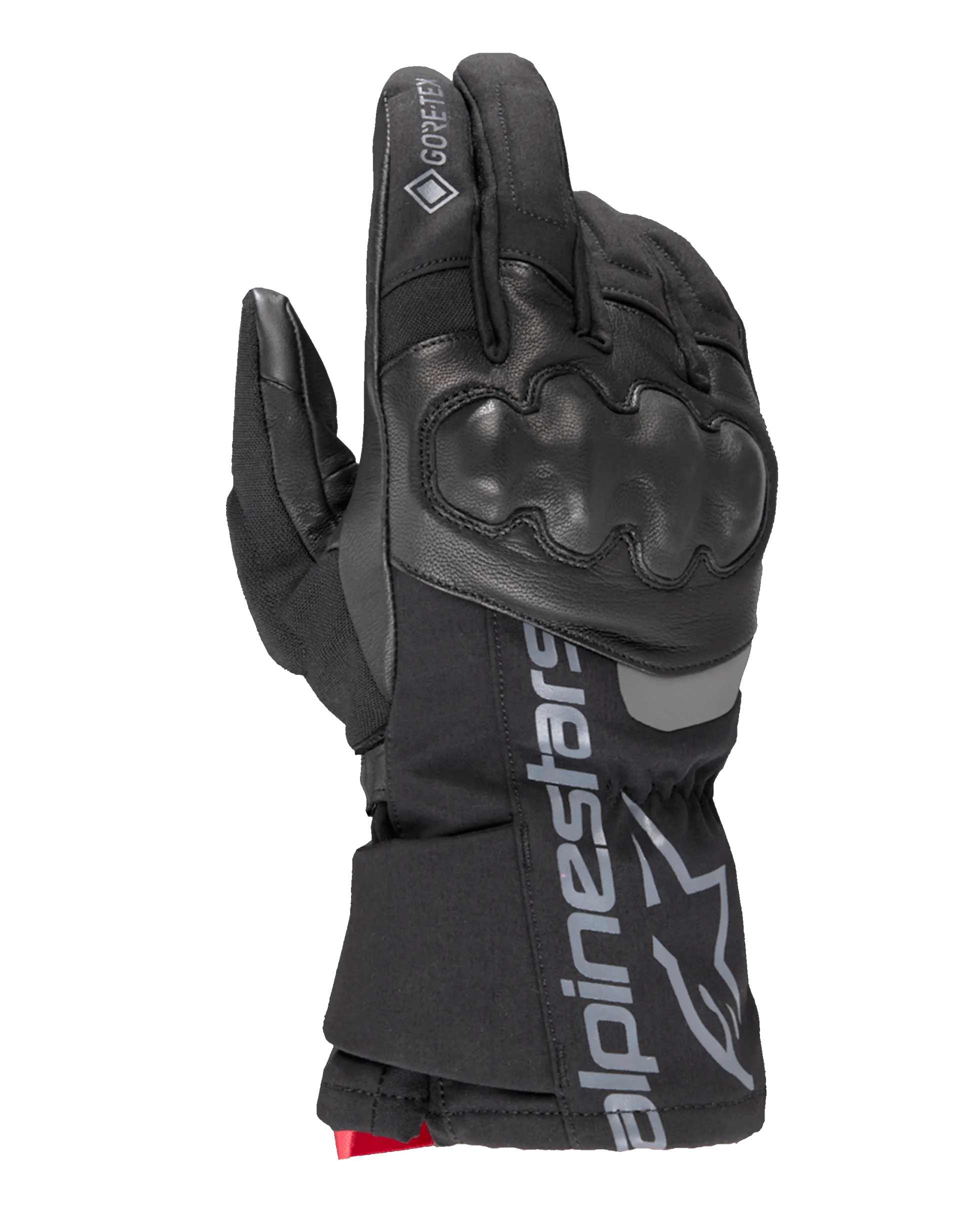 Gants Thermiques GORE-TEX WT-4