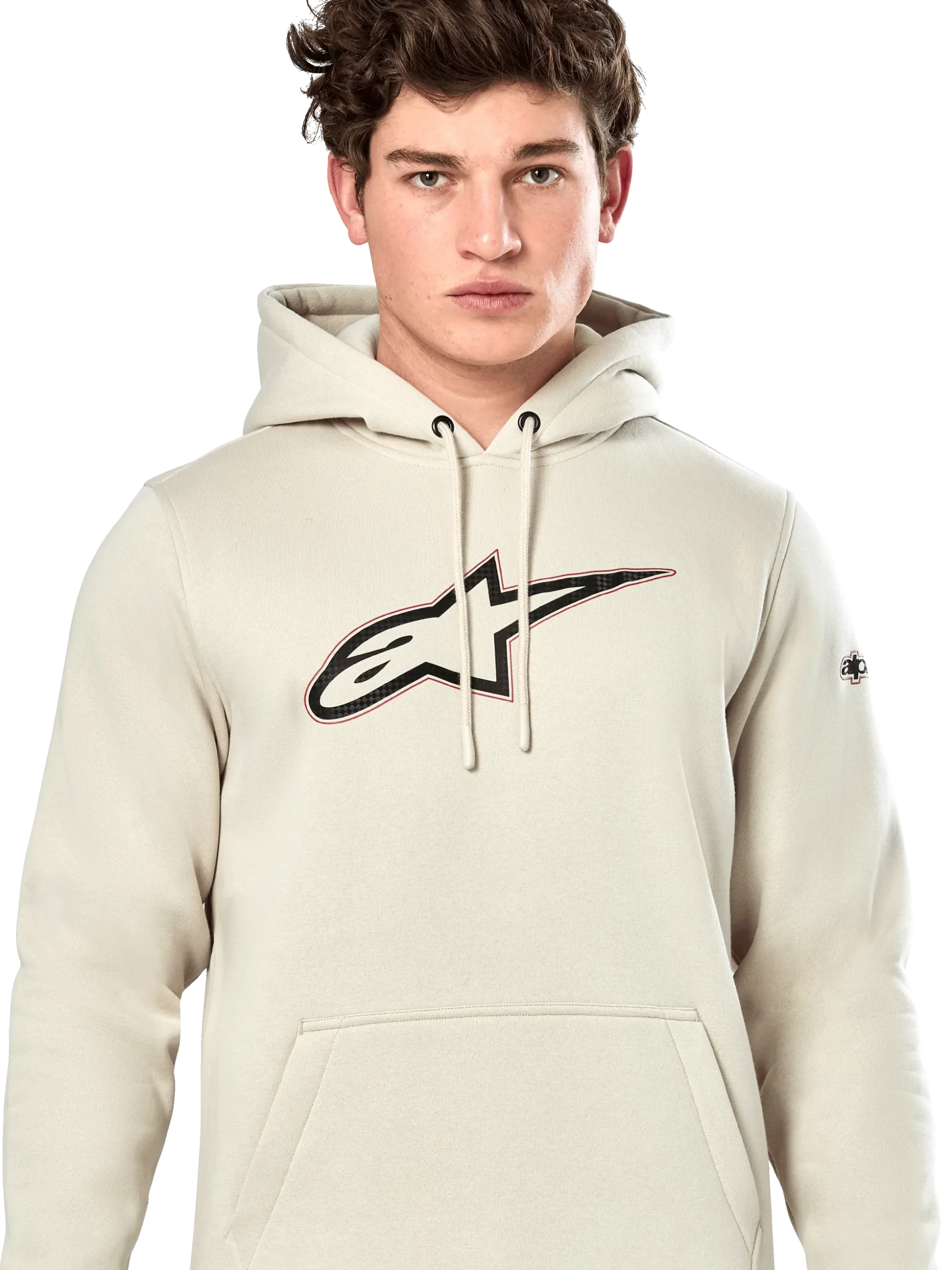 Sweat À Capuche Insignia