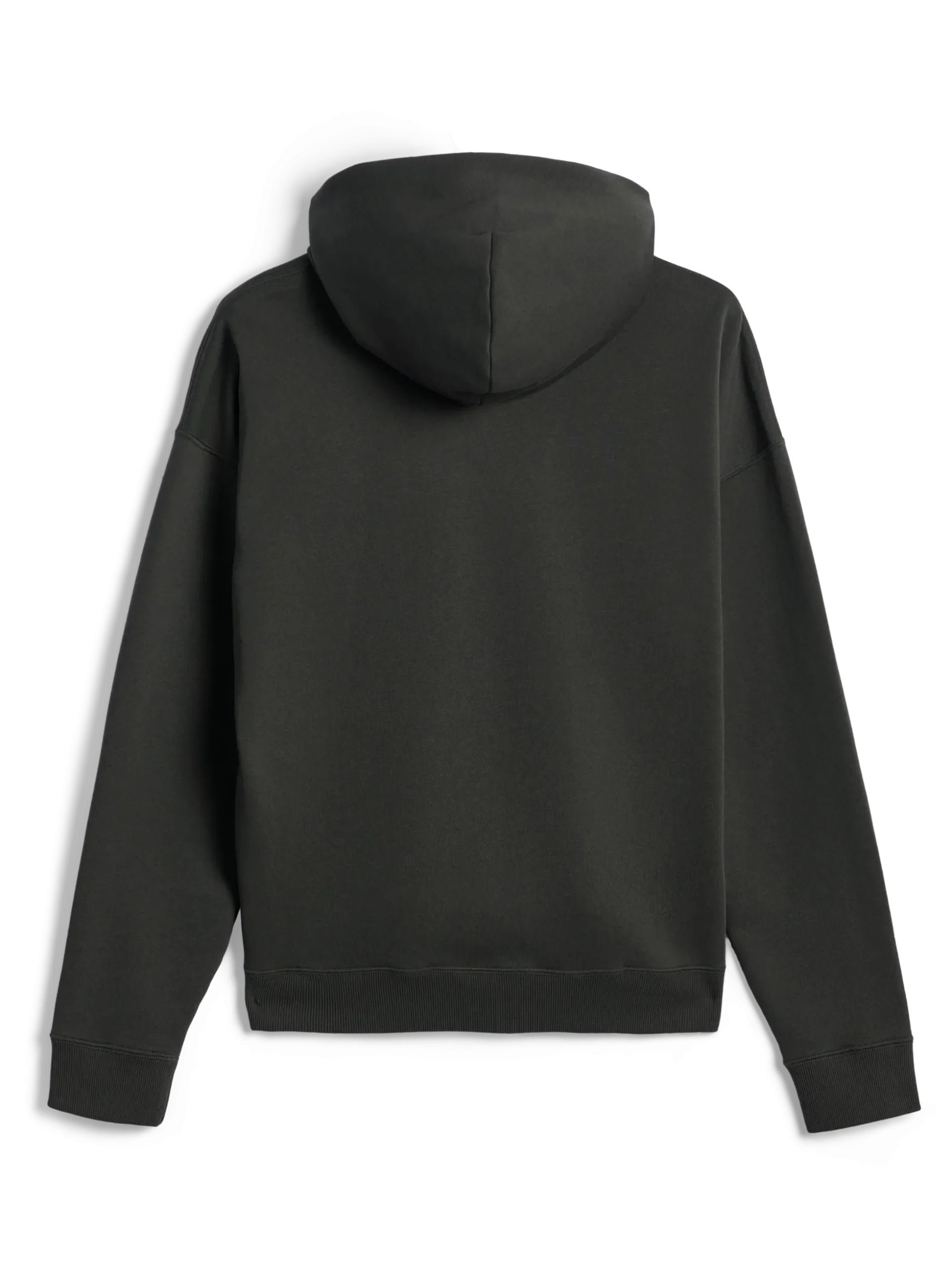 Sweat À Capuche Zippé Essentials Ageless